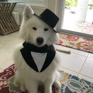 Meet your Posher, Kathleen